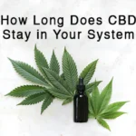 How Long CBD Vape Juice Last In Your System