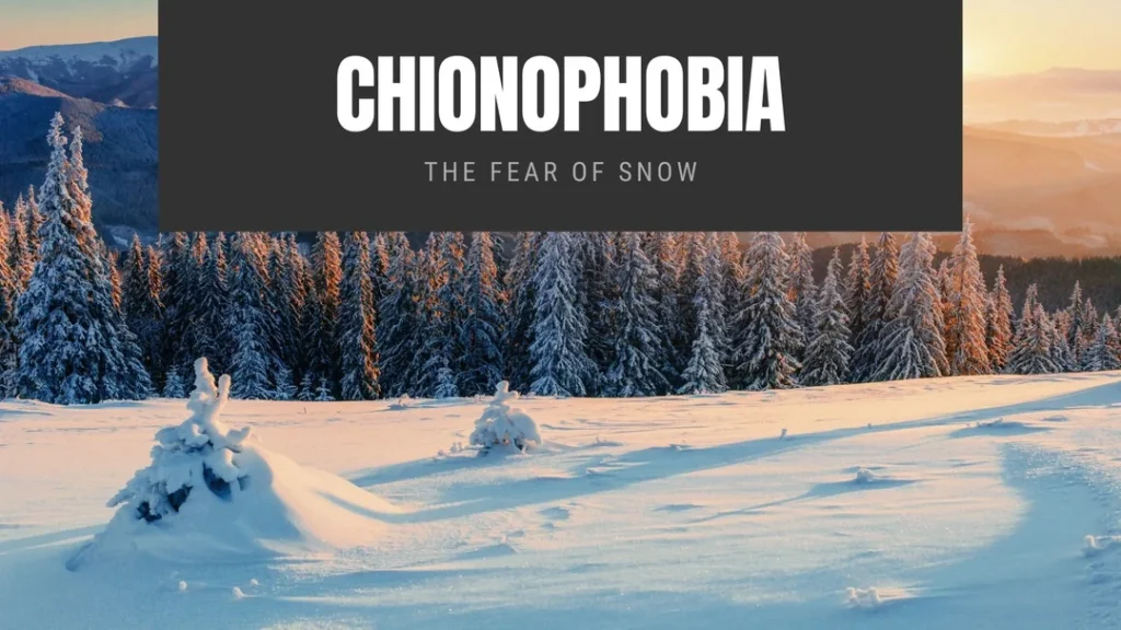 Chionophobia