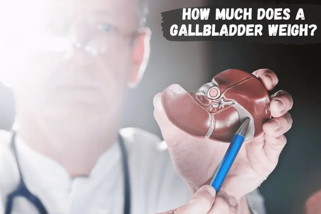 How Much does a Gallbladder Weigh