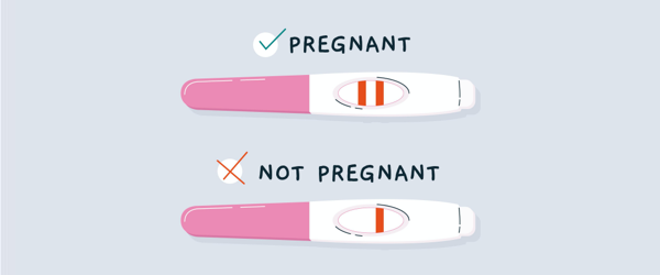 What Liquid Turns a Pregnancy Test Positive