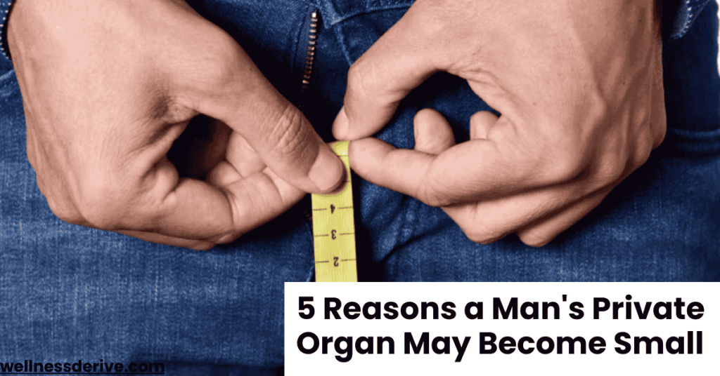 5 Reasons a Man's Private Organ May Become Small