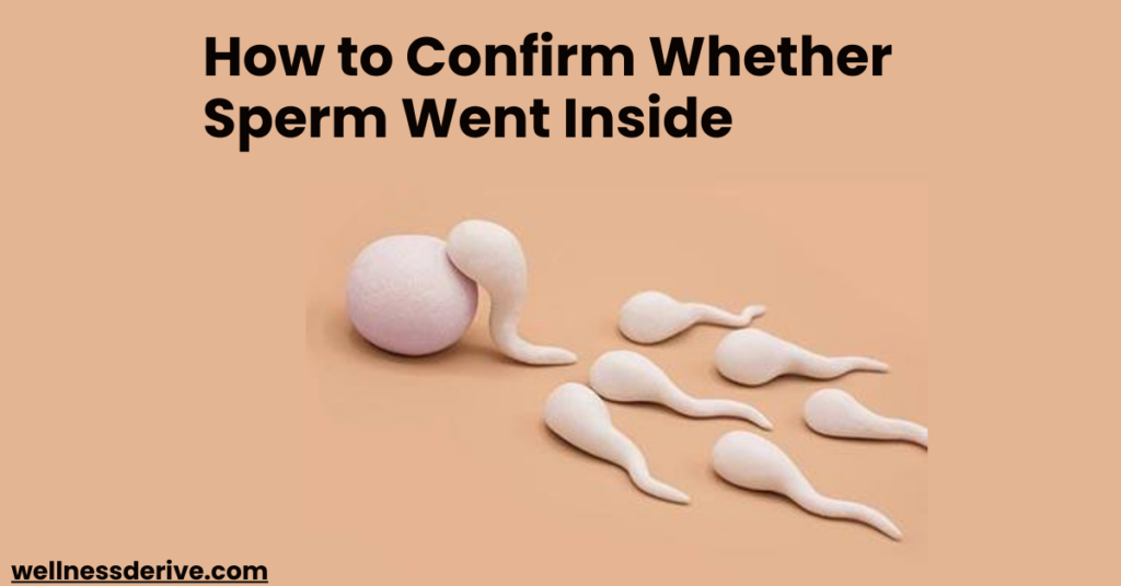 How to Confirm Whether Sperm Went Inside