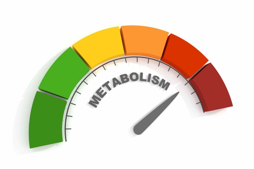 Enhanced Metabolism