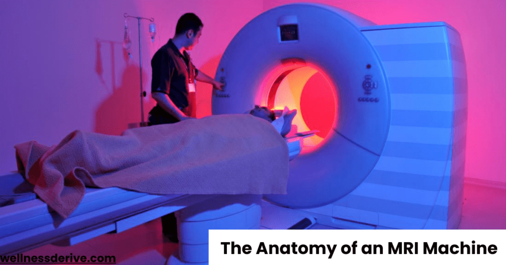 The Anatomy of an MRI Machine