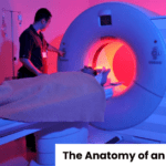 The Anatomy of an MRI Machine