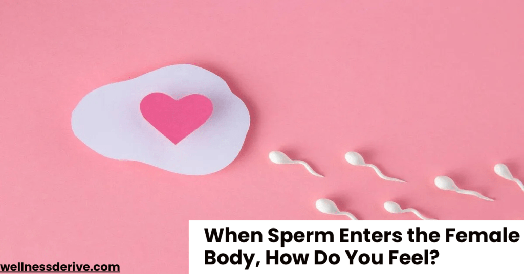 When Sperm Enters the Female Body, How Do You Feel