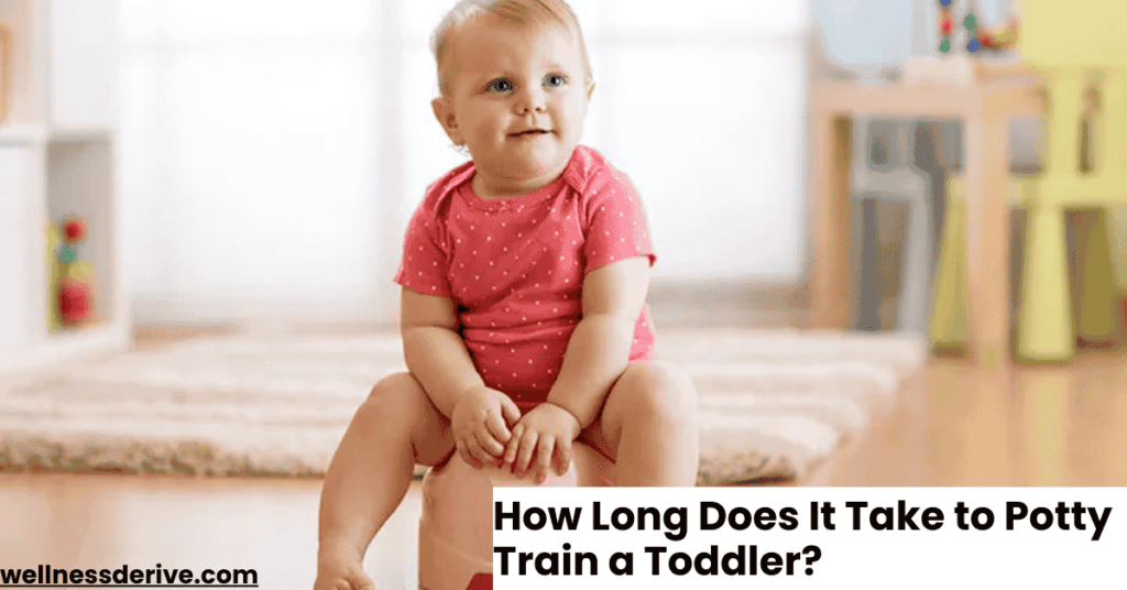 How Long Does It Take to Potty Train a Toddler