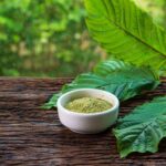 How To Look For The Best Places That Sell Kratom Nearby Your Area