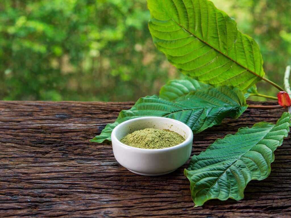 How To Look For The Best Places That Sell Kratom Nearby Your Area