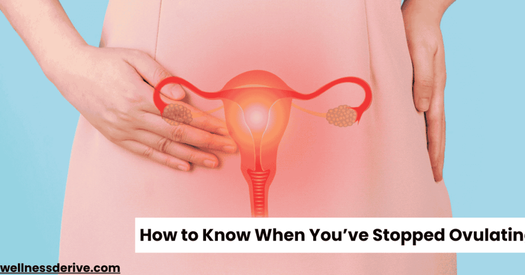 Signs Ovulation Is Over How to Know When You’ve Stopped Ovulating