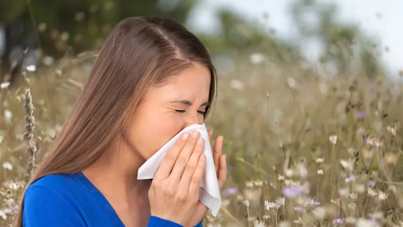 Seasonal Allergies