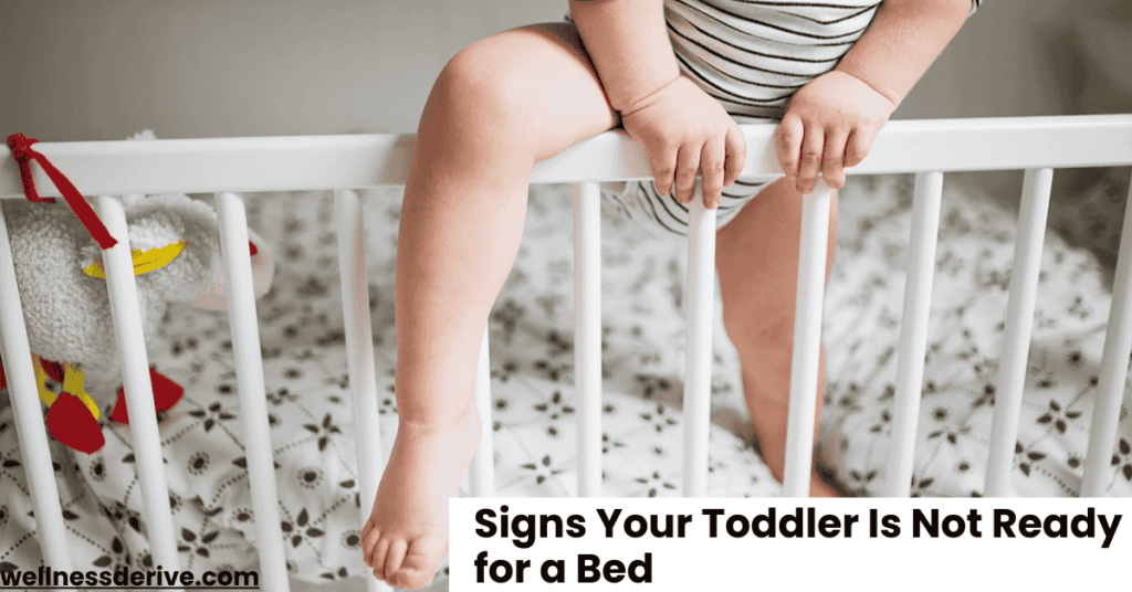 Signs Your Toddler Is Not Ready for a Bed: What to Look For