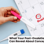 What Your Post-Ovulation Symptoms Can Reveal About Conception