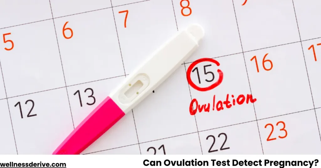 Can Ovulation Test Detect Pregnancy