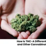 How Is THC-A Different from THC, CBD, and Other Cannabinoids