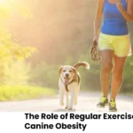 The Role of Regular Exercise in Preventing Canine Obesity