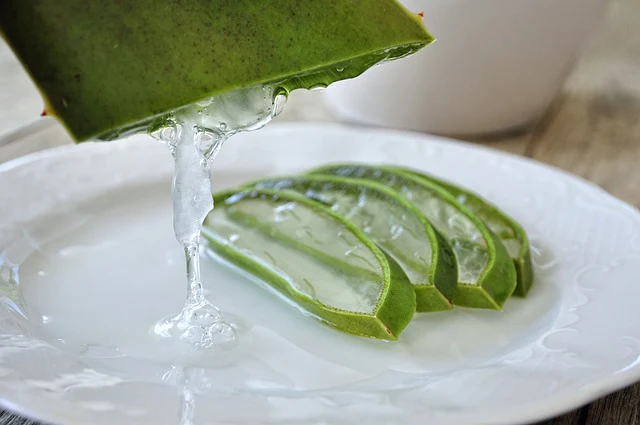 What is Aloe Vera and Why Consider It as a Lube