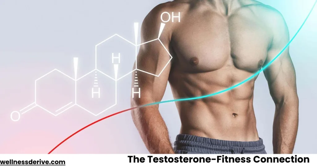 The Testosterone-Fitness Connection