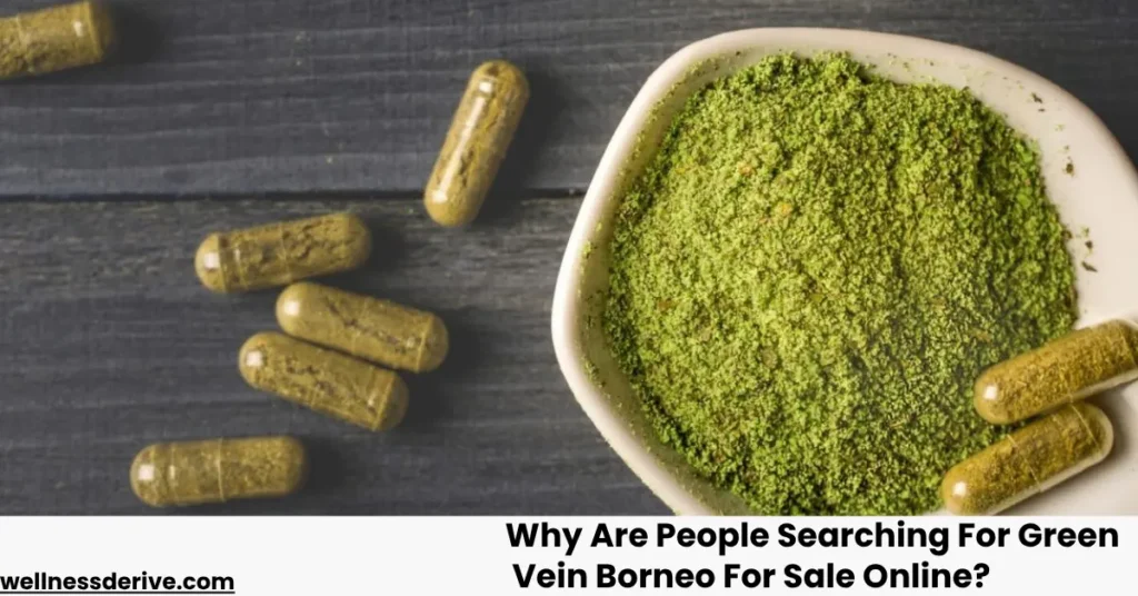 Why Are People Searching For Green Vein Borneo For Sale Online